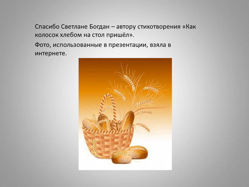 Спасибо Светлане Богдан – автору стихотворения «Как колосок хлебом на стол пришёл»