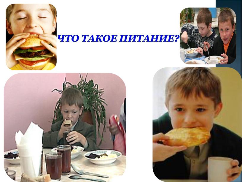 Что такое питание?