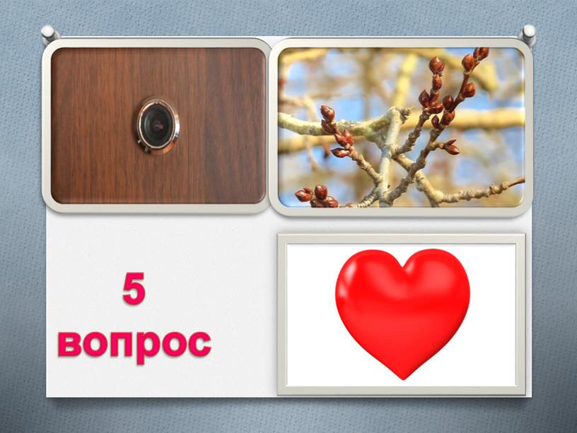 5 вопрос