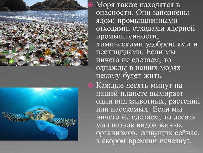 Моря также находятся в опасности