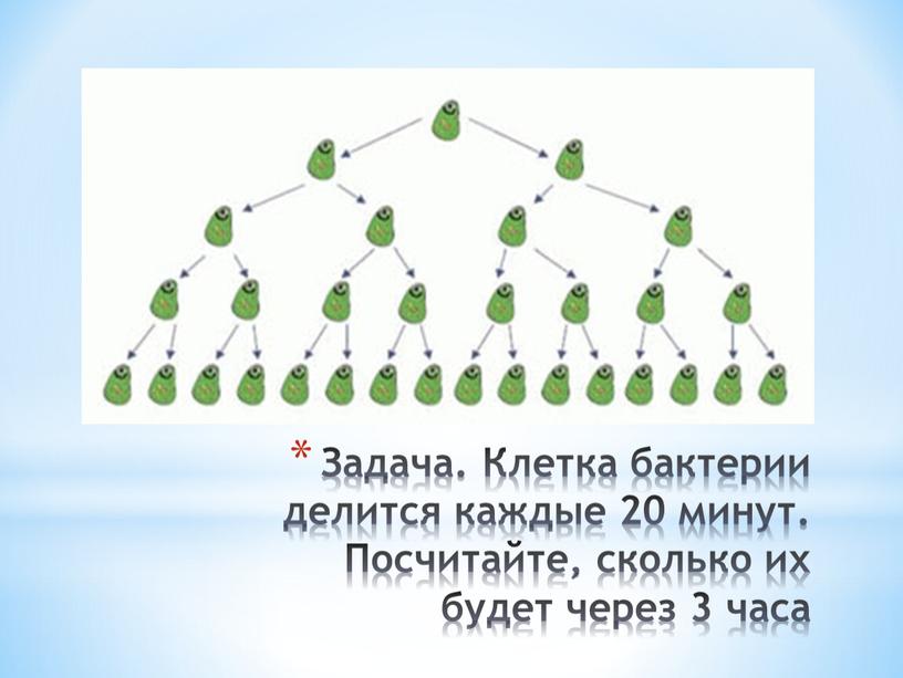 Задача. Клетка бактерии делится каждые 20 минут