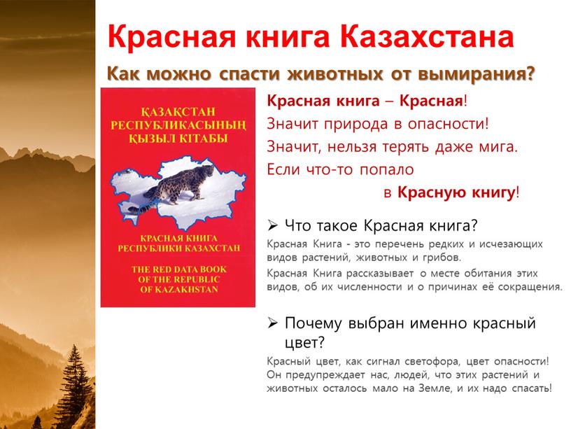 Красная книга Казахстана Как можно спасти животных от вымирания?