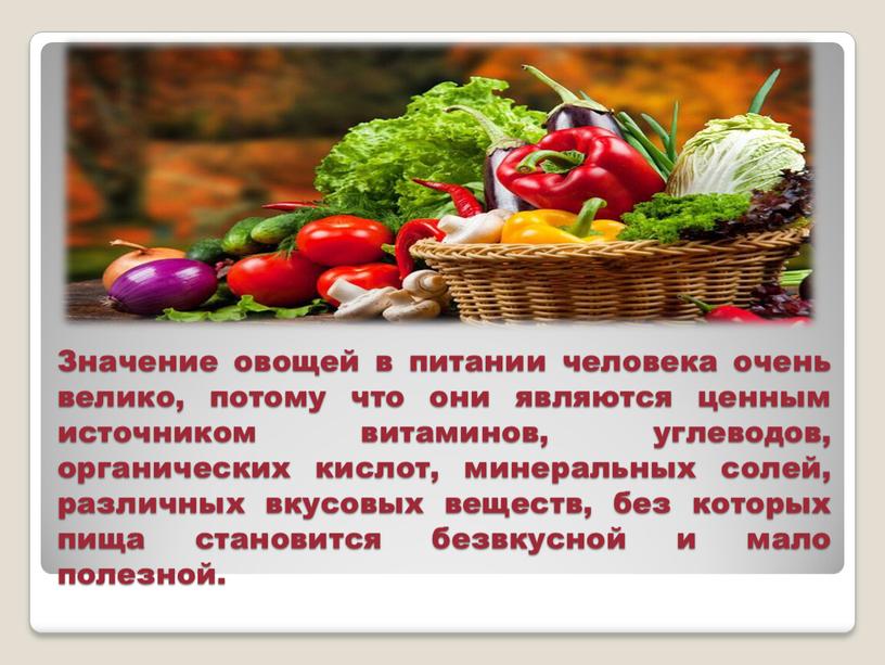 Значение овощей в питании человека очень велико, потому что они являются ценным источником витаминов, углеводов, органических кислот, минеральных солей, различных вкусовых веществ, без которых пища…