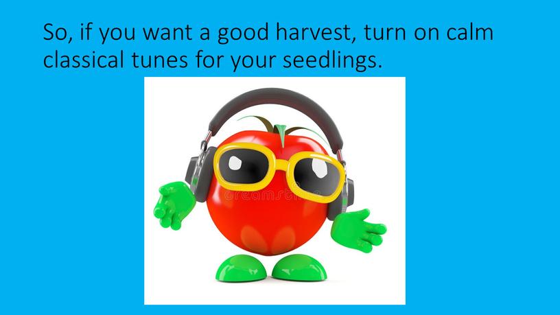 So, if you want a good harvest, turn on calm classical tunes for your seedlings