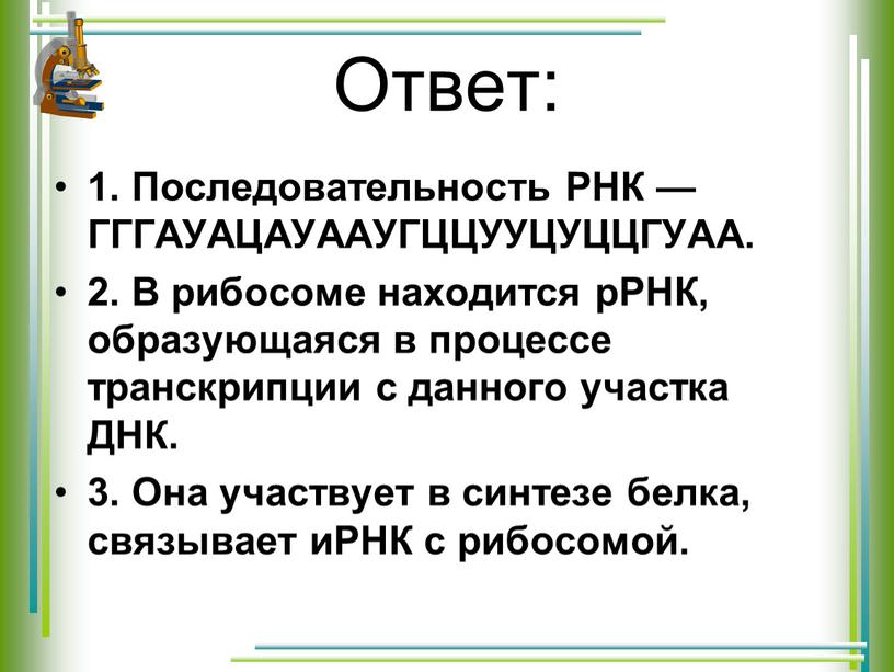 Ответ: 1. Последовательность РНК —