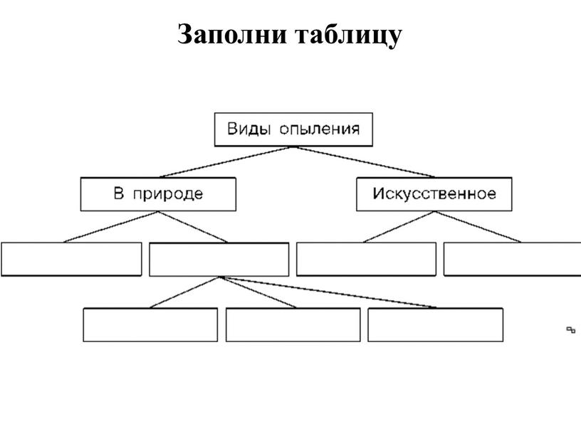 Заполни таблицу