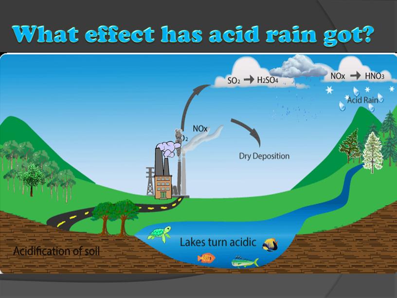 What effect has acid rain got?