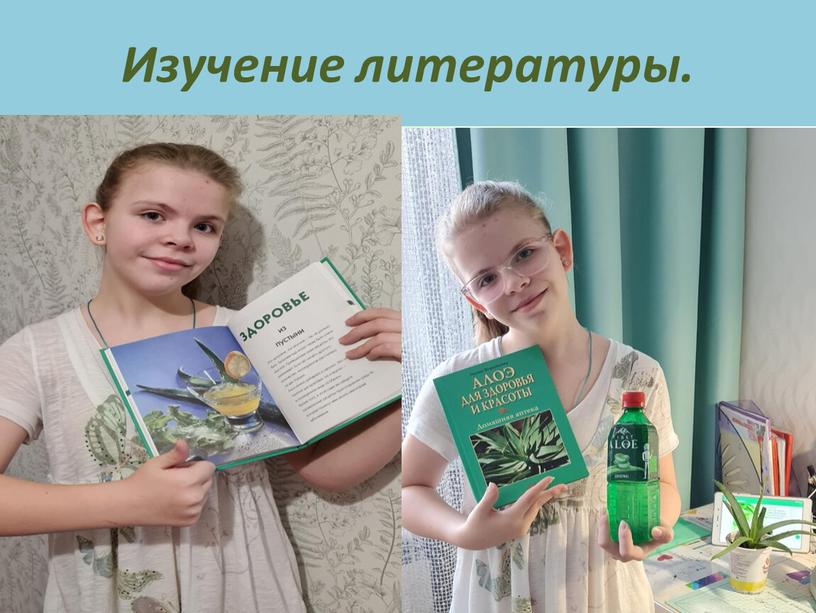 Изучение литературы.