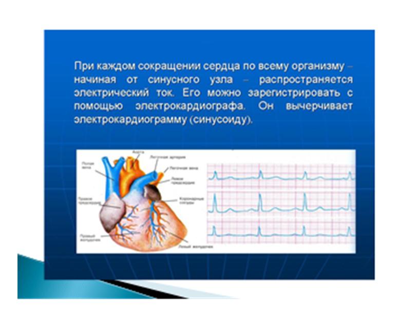 Презентация к уроку Тригонометрические функции 10 класс