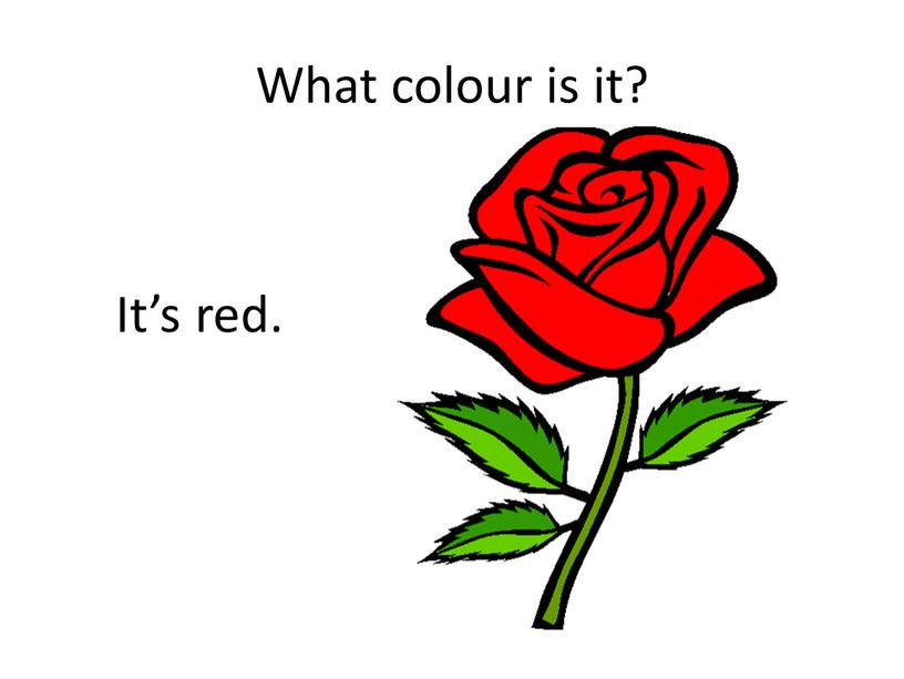 What colour is it? It’s red.