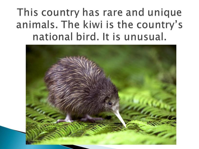 This country has rare and unique animals