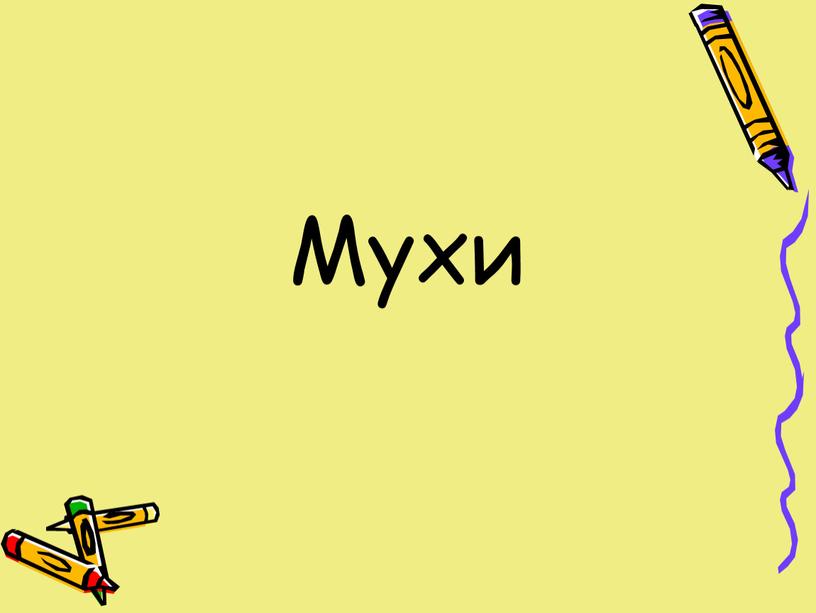 Мухи