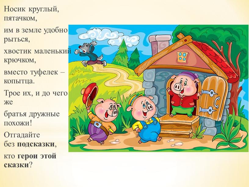 Носик круглый, пятачком, им в земле удобно рыться, хвостик маленький крючком, вместо туфелек – копытца