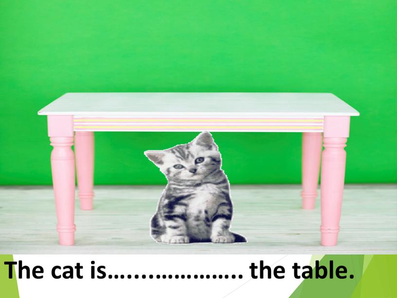The cat is…....………….. the table
