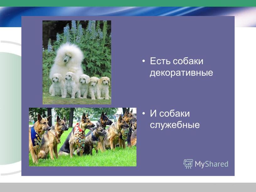 Презентация к уроку окружающего мира "Домашние животные" ФГОС 2 класс