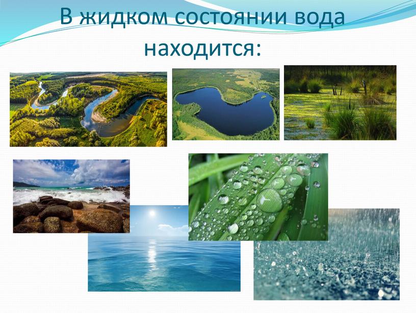 В жидком состоянии вода находится: