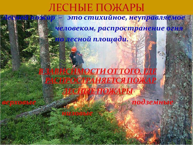 Лесной пожар – это стихийное, неуправляемое человеком, распространение огня по лесной площади