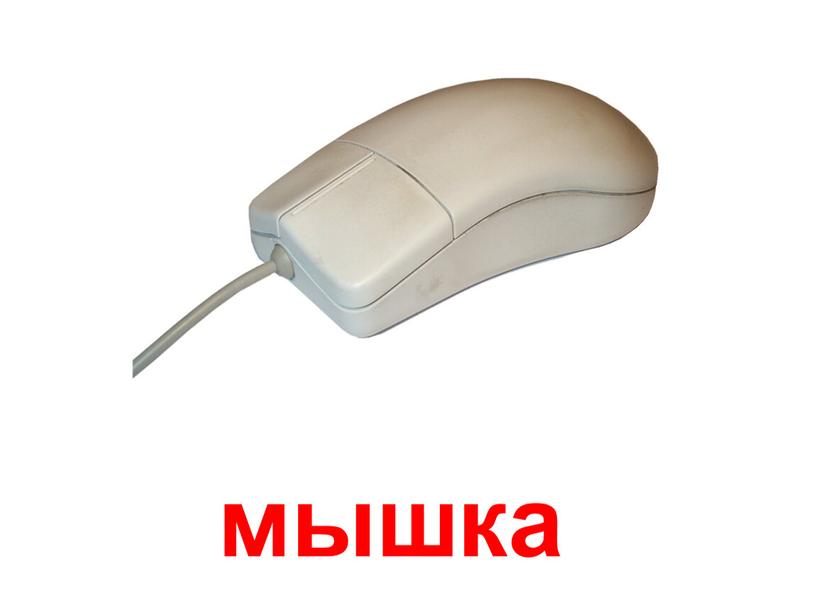 мышка