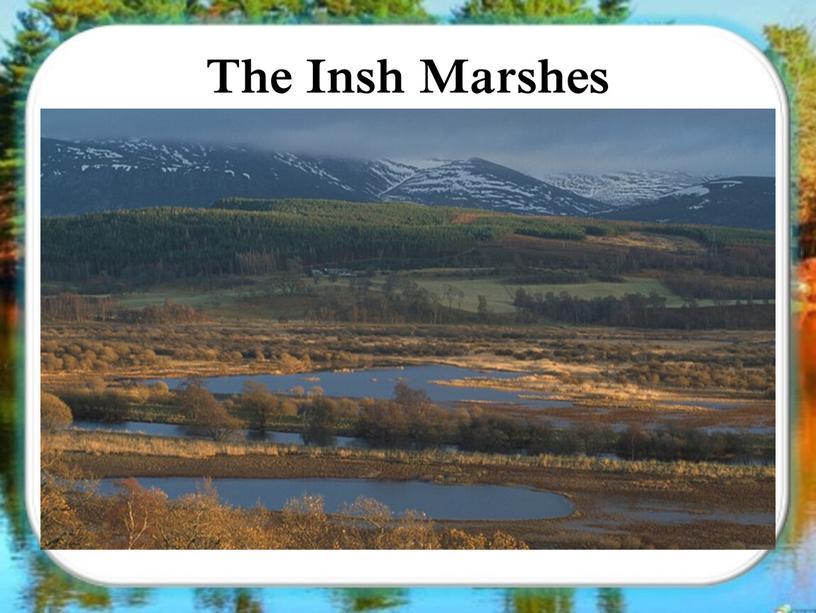 The Insh Marshes