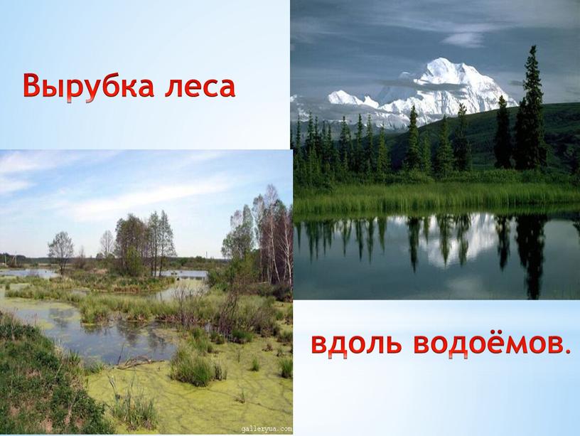 Вырубка леса вдоль водоёмов.