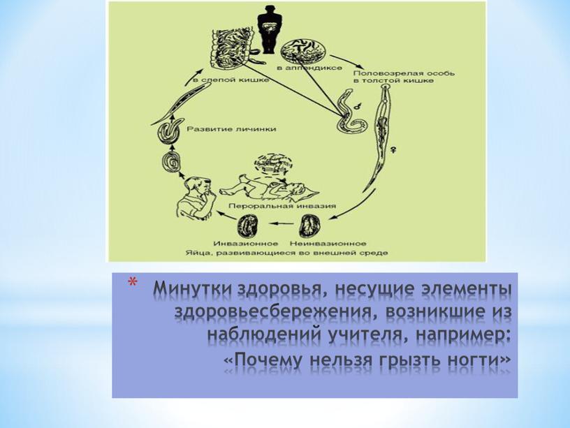 Минутки здоровья, несущие элементы здоровьесбережения, возникшие из наблюдений учителя, например: «Почему нельзя грызть ногти»