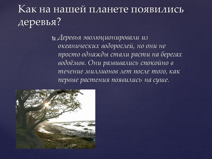 Деревья эволюционировали из океанических водорослей, но они не просто однажды стали расти на берегах водоёмов