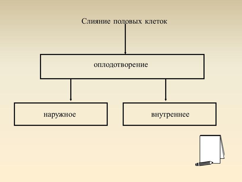 Слияние половых клеток