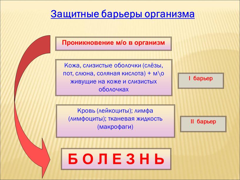 Защитные барьеры организма Проникновение м/о в организм