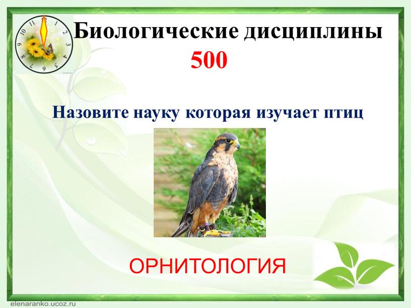 Биологические дисциплины 500