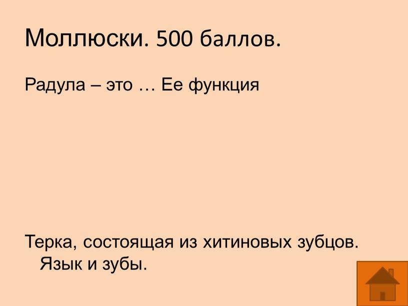 Моллюски. 500 баллов. Радула – это …