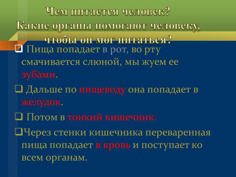 Чем питается человек? Какие органы помогают человеку, чтобы он мог питаться?