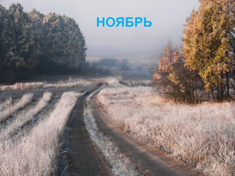 НОЯБРЬ