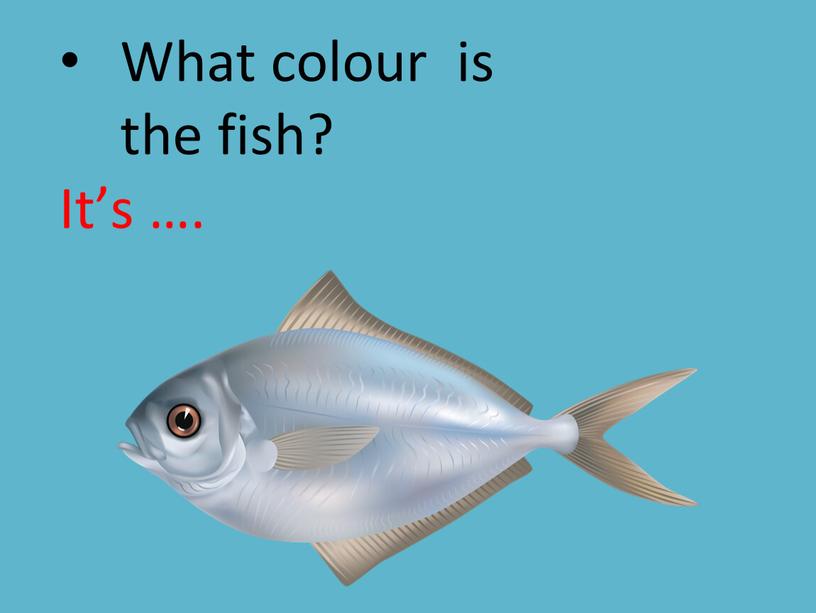 What colour is the fish? It’s …