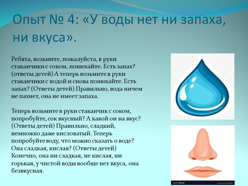 Опыт № 4: «У воды нет ни запаха, ни вкуса»
