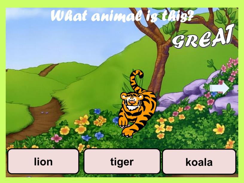 What animal is this? koala tiger lion