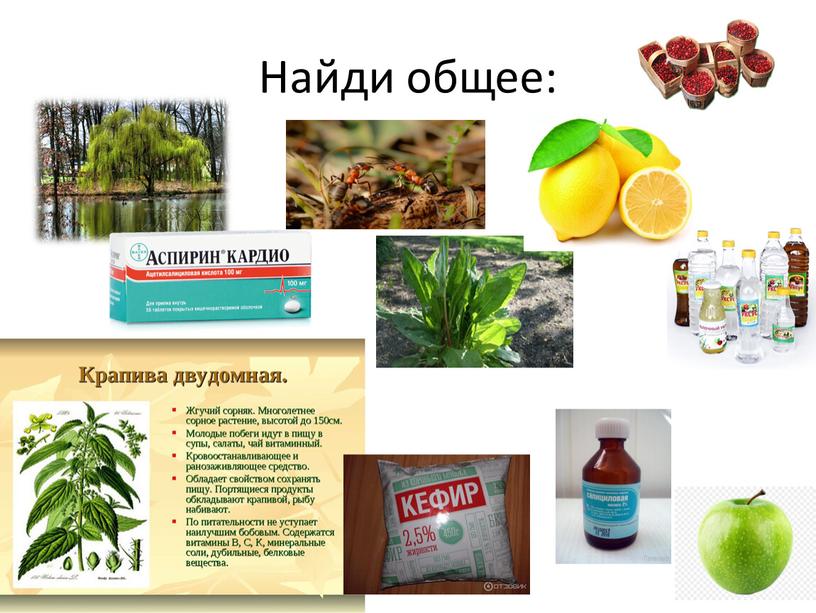 Найди общее: