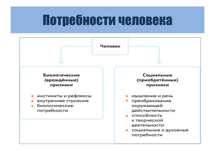 Потребности человека