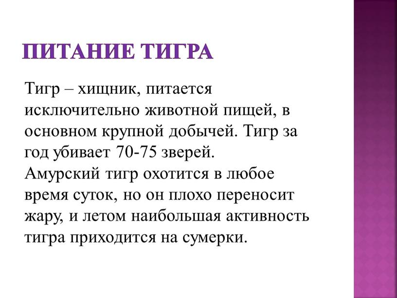 Питание тигра Тигр – хищник, питается исключительно животной пищей, в основном крупной добычей