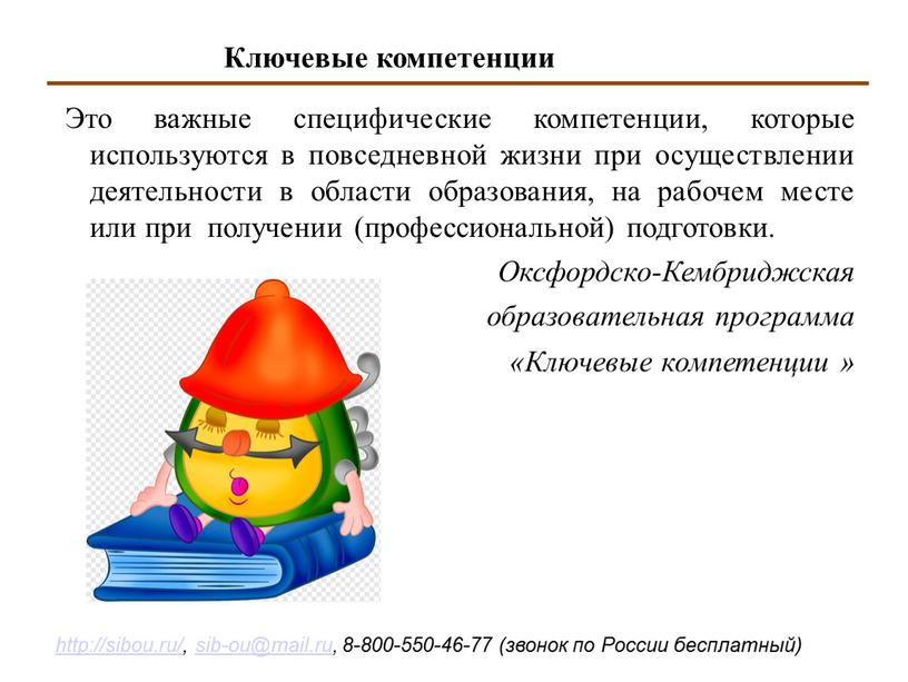 Это важные специфические компетенции, которые используются в повседневной жизни при осуществлении деятельности в области образования, на рабочем месте или при получении (профессиональной) подготовки