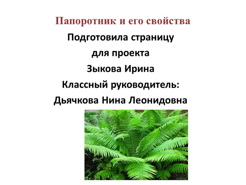 Папоротник и его свойства Подготовила страницу для проекта