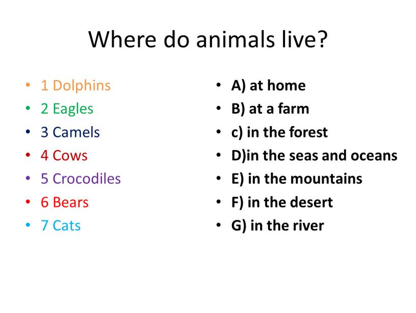 Where do animals live? 1 Dolphins 2
