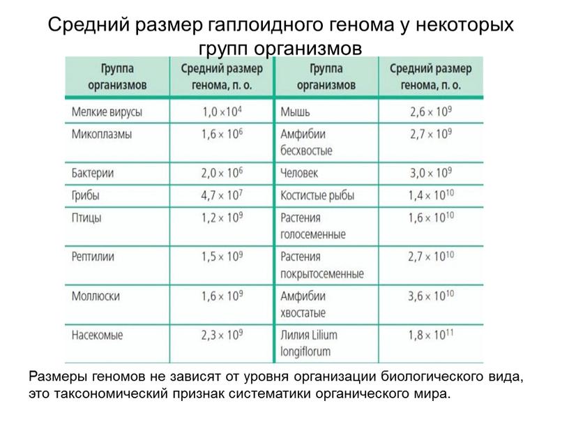 Средний размер гаплоидного генома у некоторых групп организмов