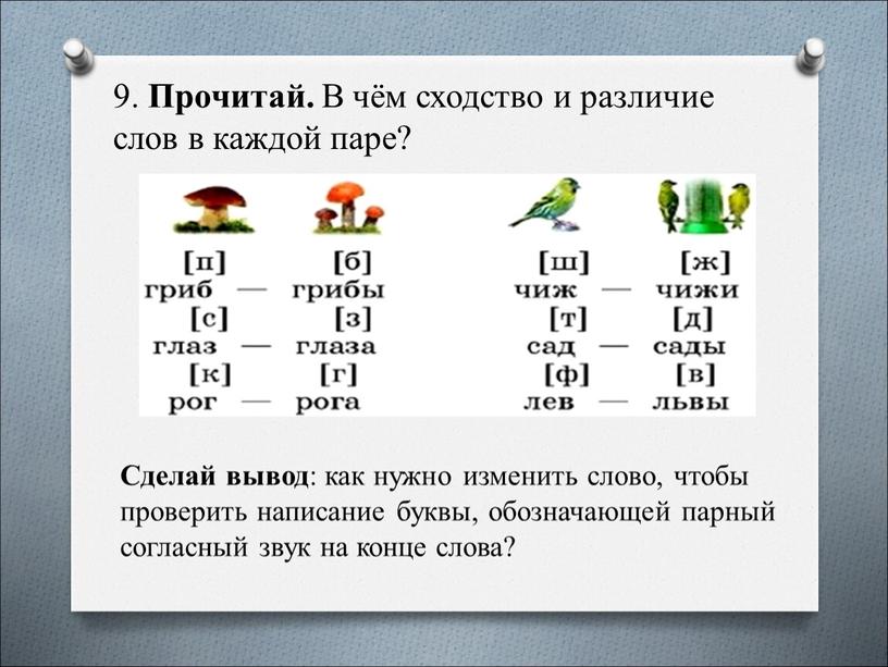 Прочитай. В чём сходство и различие слов в каждой паре?