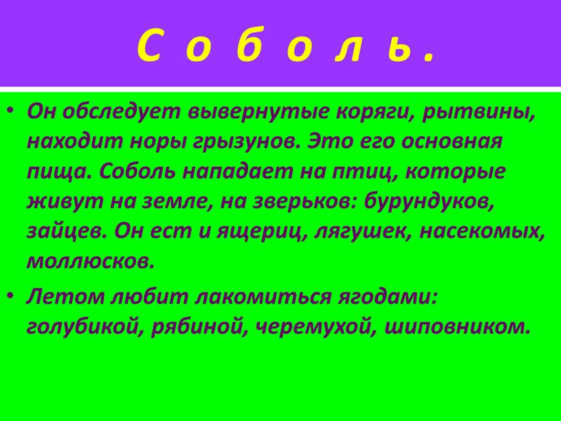 С о б о л ь . Он обследует вывернутые коряги, рытвины, находит норы грызунов