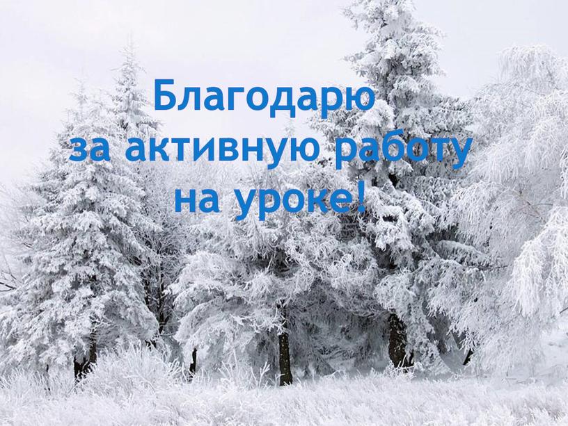 Благодарю за активную работу на уроке!