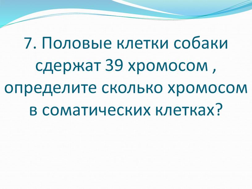 Половые клетки собаки сдержат 39 хромосом , определите сколько хромосом в соматических клетках?