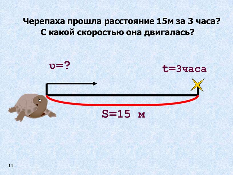 Черепаха прошла расстояние 15м за 3 часа?