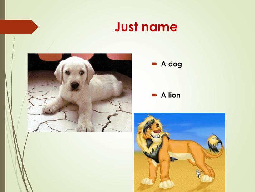 Just name A dog A lion