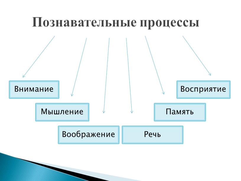 Познавательные процессы Мышление