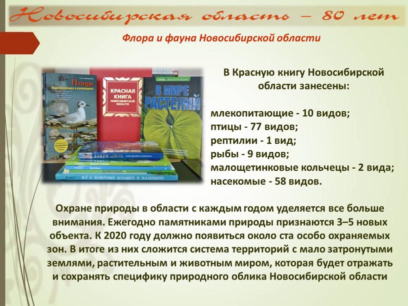 В Красную книгу Новосибирской области занесены: млекопитающие - 10 видов; птицы - 77 видов; рептилии - 1 вид; рыбы - 9 видов; малощетинковые кольчецы -…